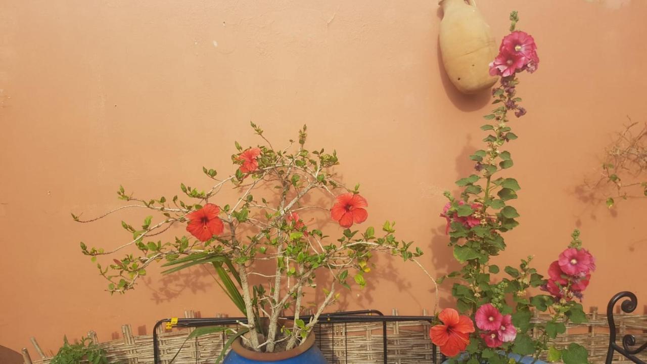 Chambres d'Hôtes les amis Taroudant Extérieur photo