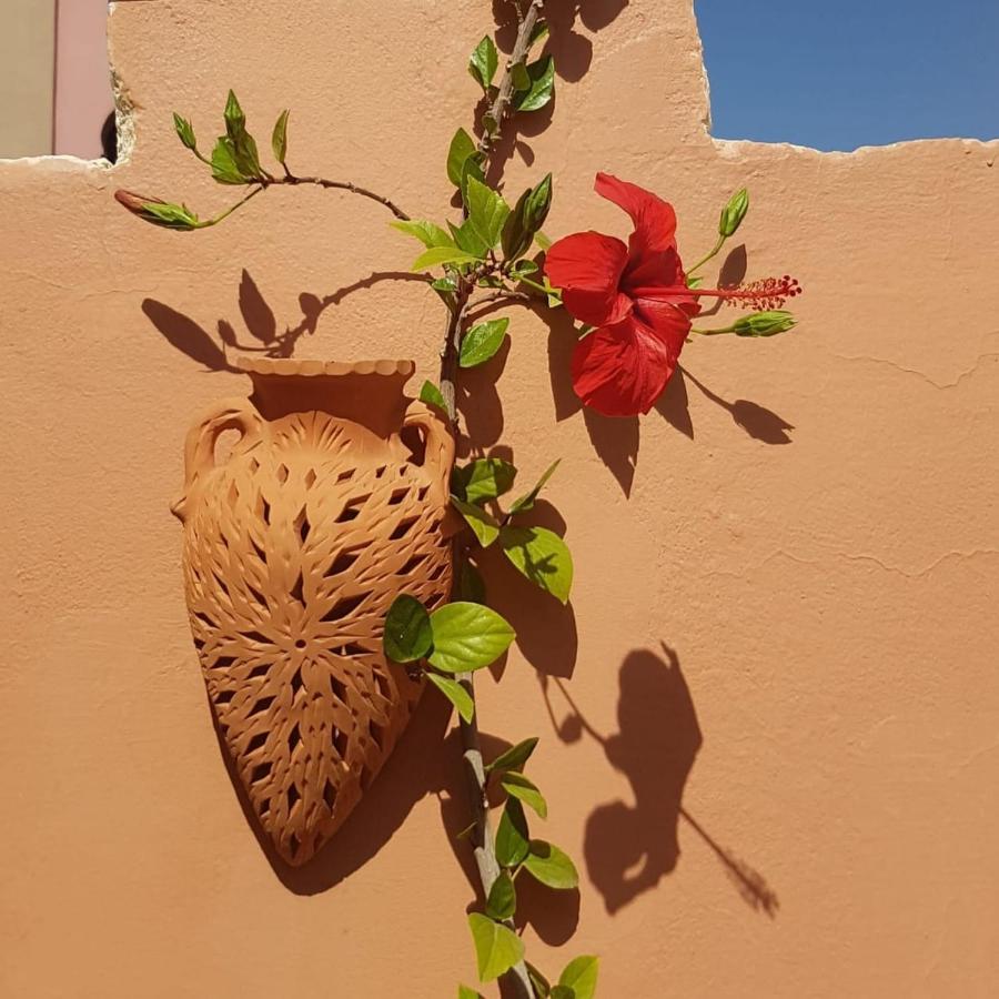 Chambres d'Hôtes les amis Taroudant Extérieur photo
